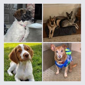 Meet your Posher, Taylor